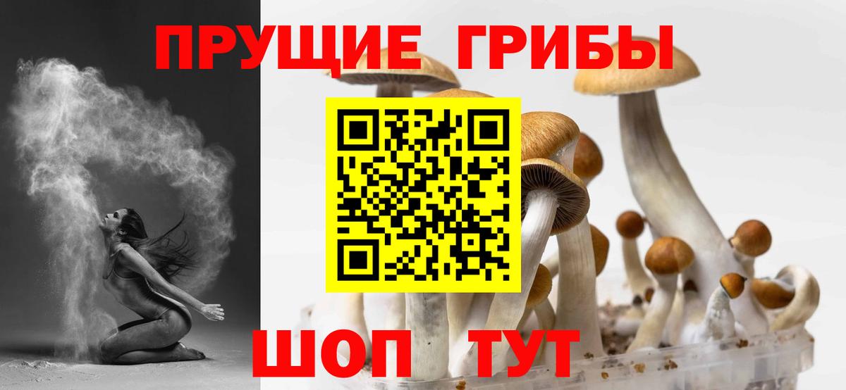хочу   Галлюциногенные грибы мицелий  Галлюциногенные грибы GOLDEN TEACHER  Вход с VPN  Тайшет 